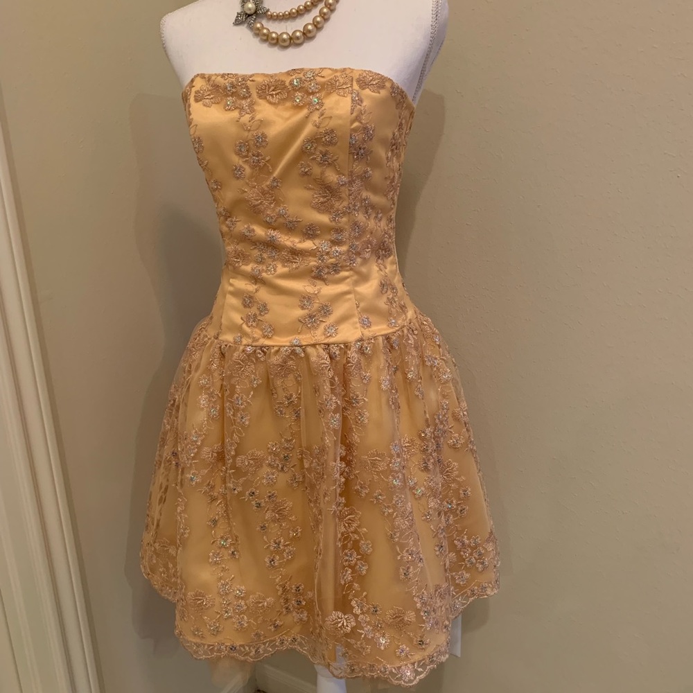 Jessica McClintock  Dress